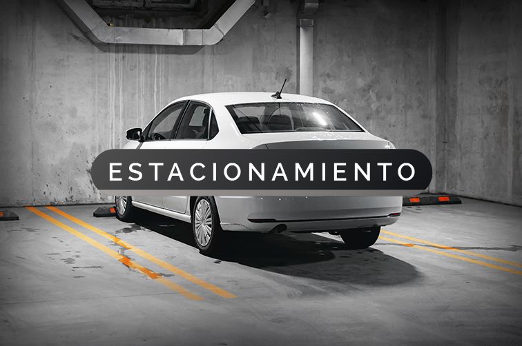 Lote Estacionamiento